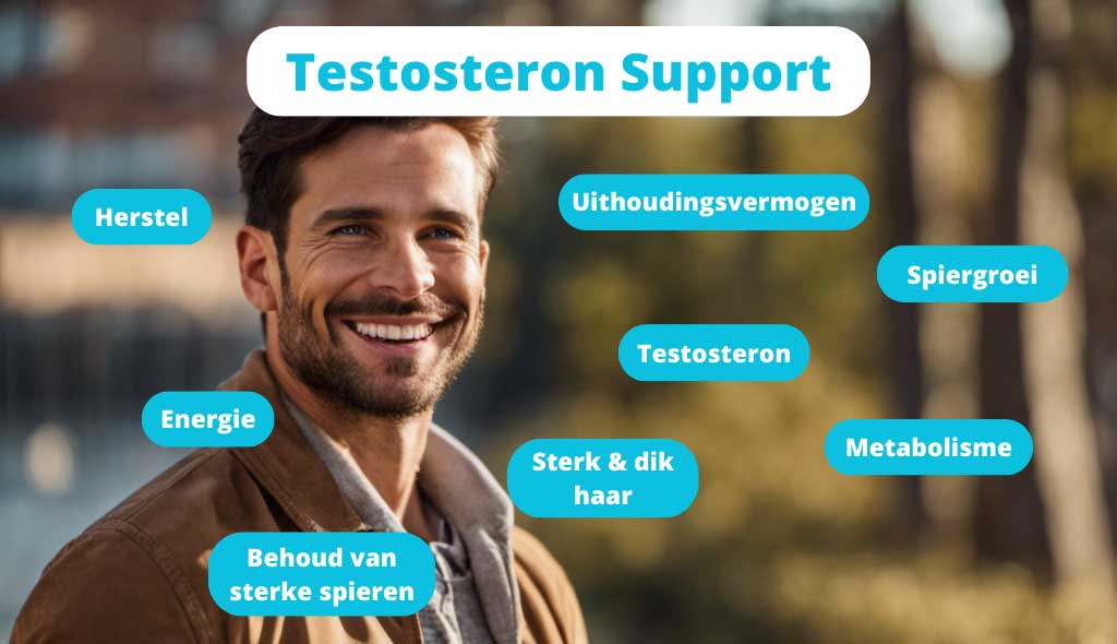 testosteron support ondersteunt spiergroei, herstel, metabolisme, energie, uithoudingsvermogen, testosteron, sterk & dik haar door ingredienten